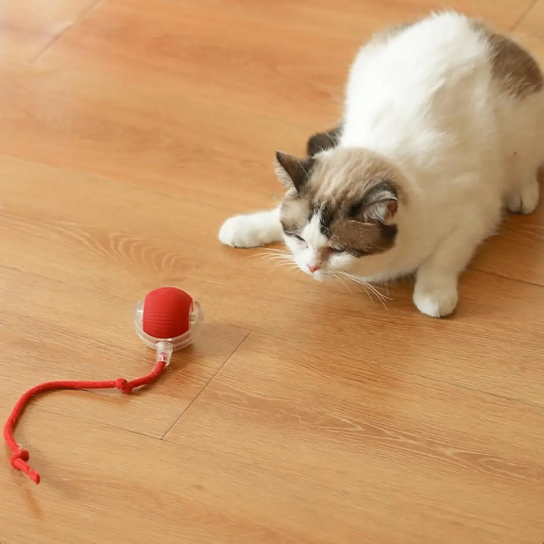 ECTEATOY Interactieve Rollende Hondenbal 7cm - Rood
