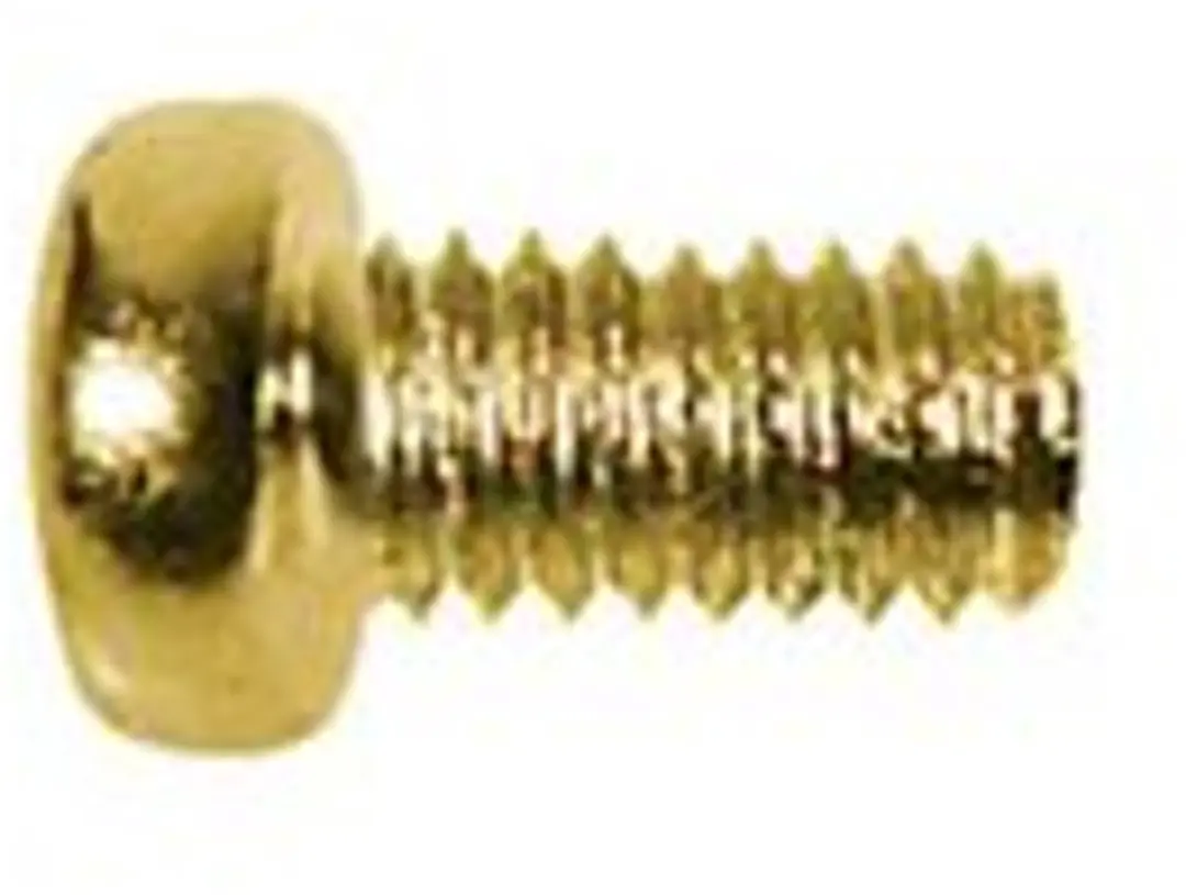 Boston SS-18-G Schroefbolletjes 3,0x5mm - 12 Stuks - Goud