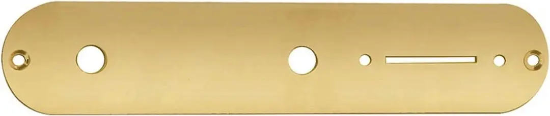 Boston CP-TE-G Controleplaat Goud 32x160mm