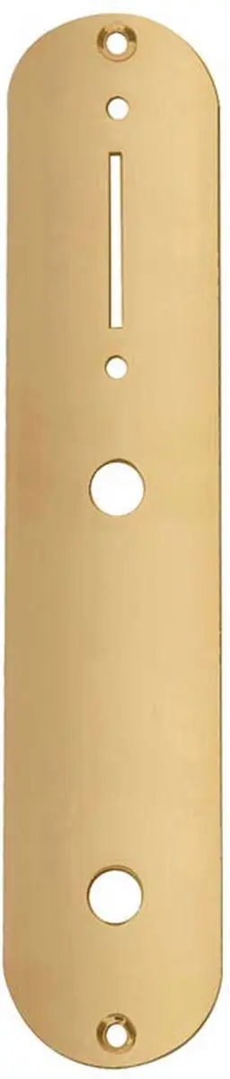 Boston CP-TE-G Controleplaat Goud 32x160mm