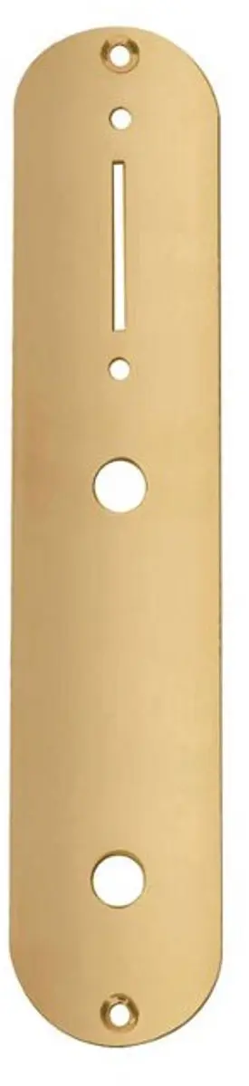 Boston CP-TE-G Controleplaat Goud 32x160mm