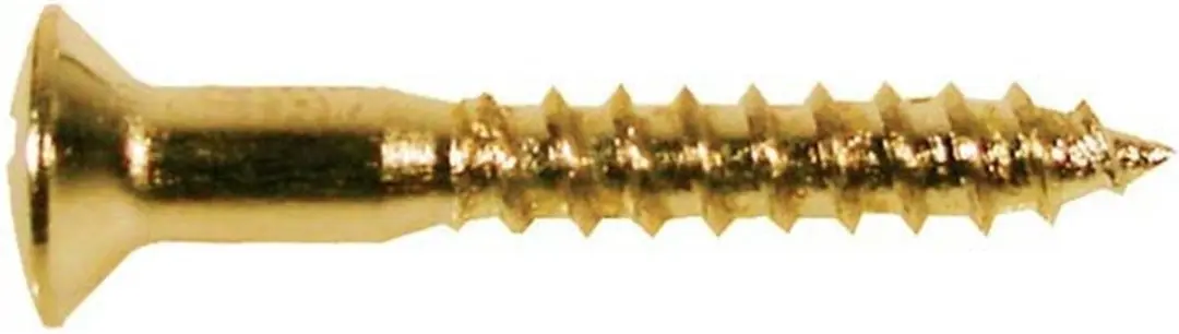 Boston WS-04-G Gouden Ovalen Schroeven 3,5x25mm