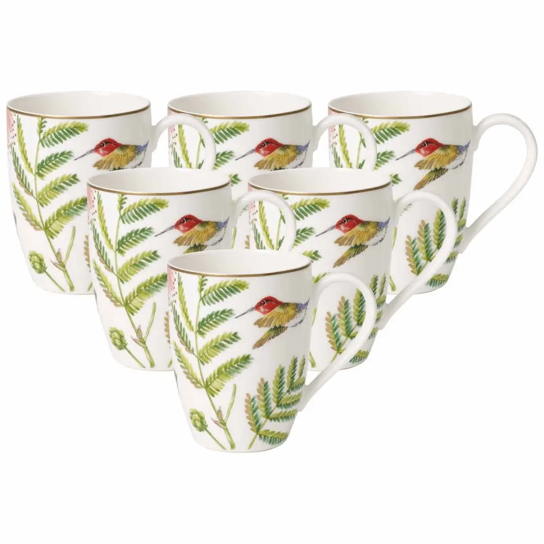 Villeroy & Boch Amazonia Koffiebeker Set
