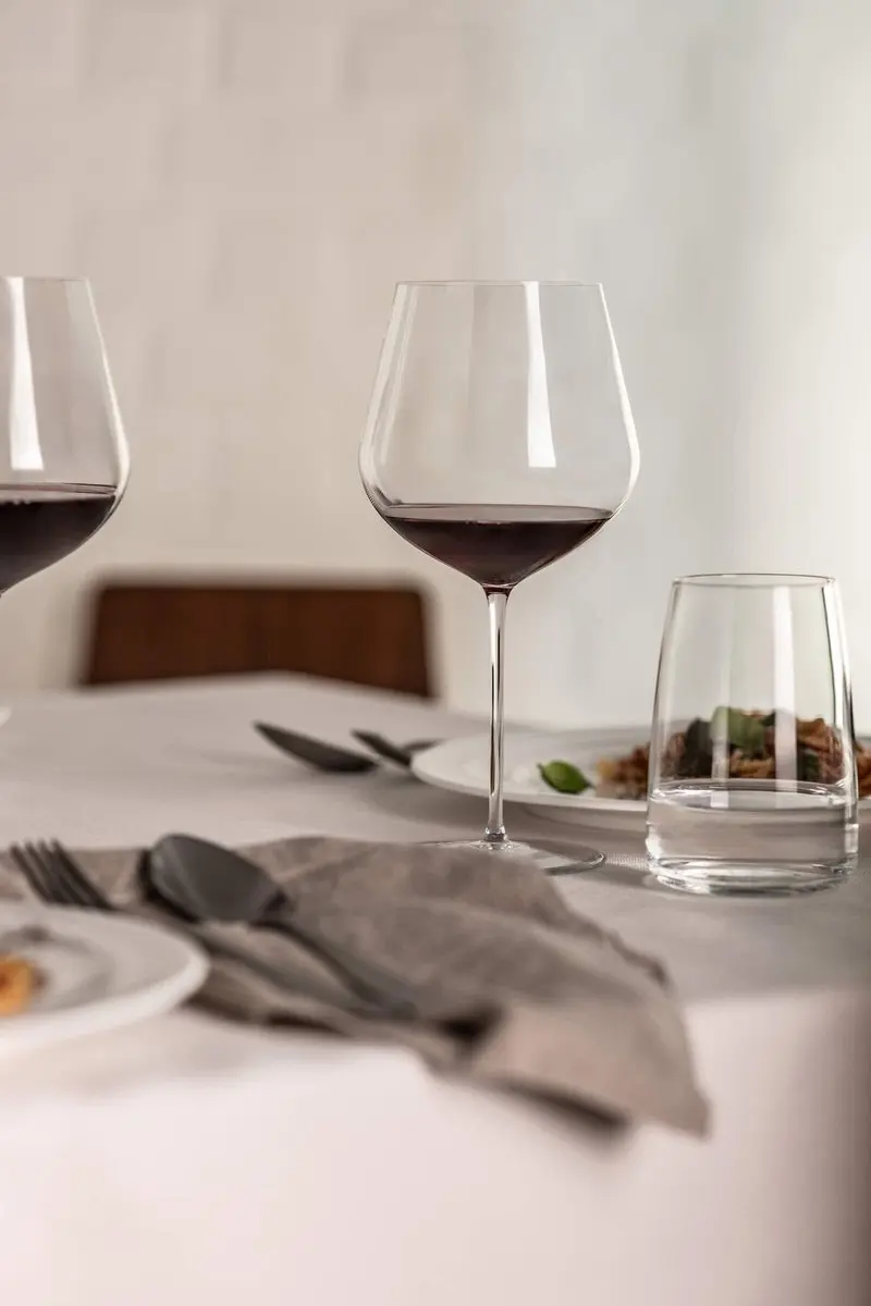 ZWIESEL GLAS VUELO Wijnglazen Set - 10 Stuks