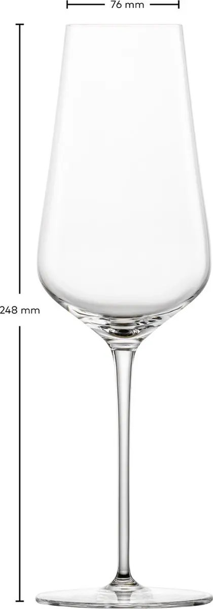 Zwiesel Glas Champagnergläser Duo Set - 6 Stuks 378ml