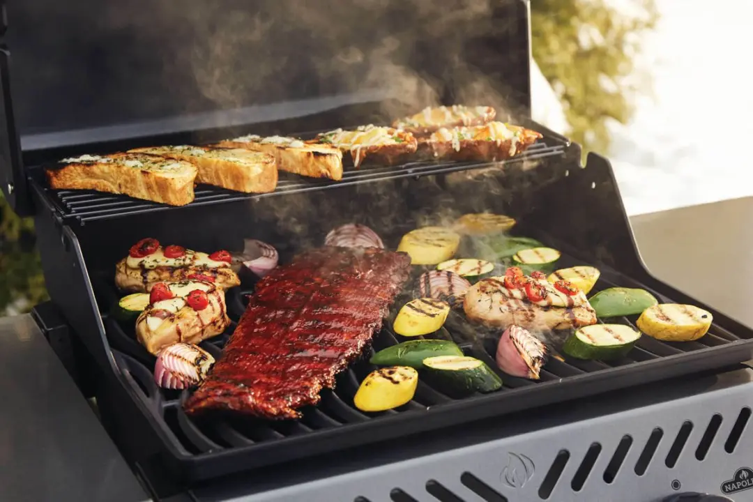 Napoleon Freestyle 365 BBQ - 3 Branders - Multi