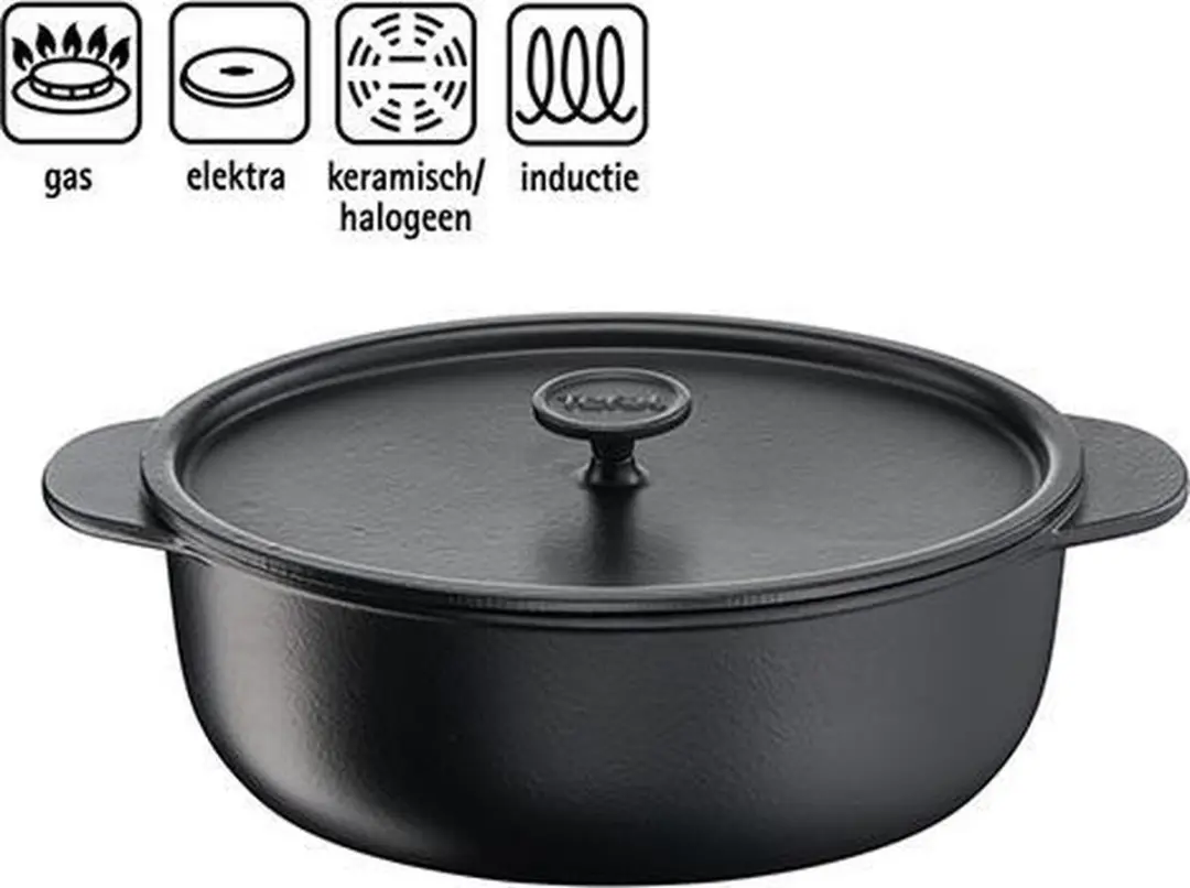 Tefal Tradition E22585 Ovale Braadpan 31cm - Zwart