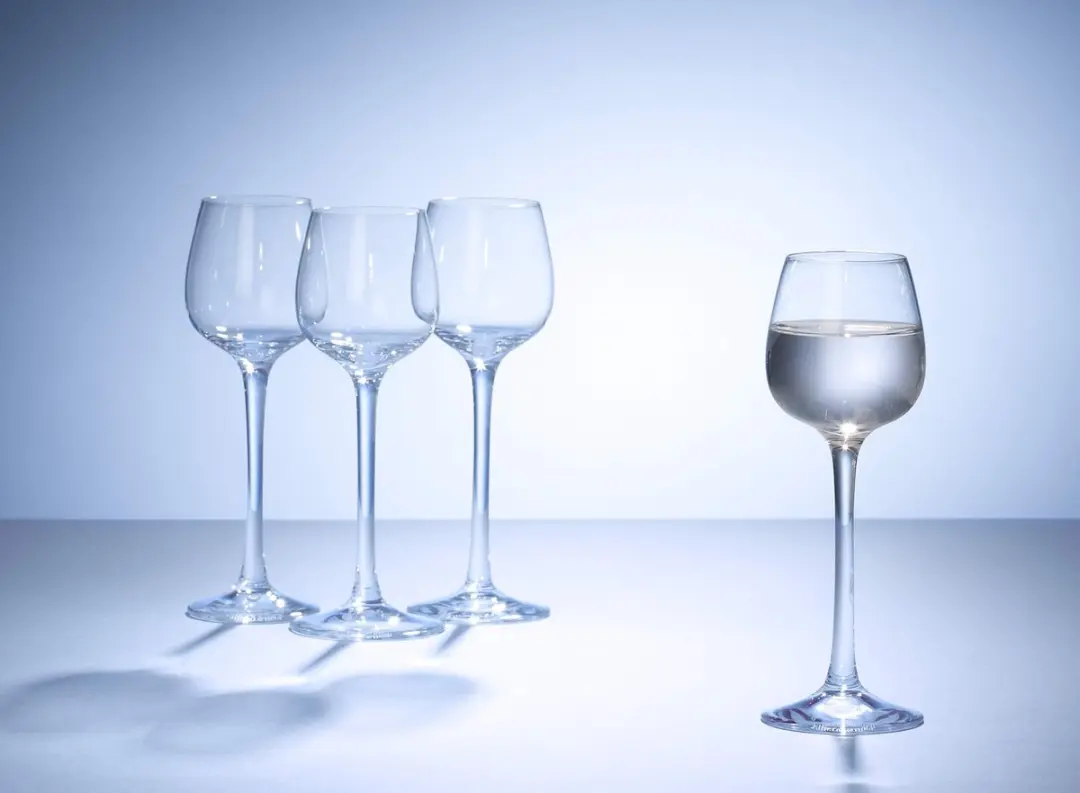 Villeroy & Boch Purismo Specials Glazen 50ml - Set van 4