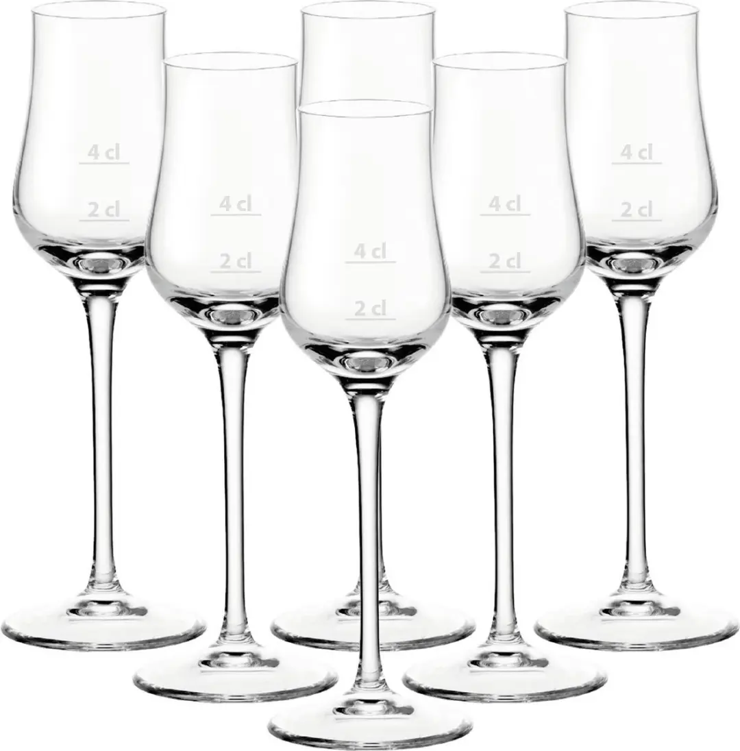 Leonardo Puccini Gastro-Edition Grappaglas Set