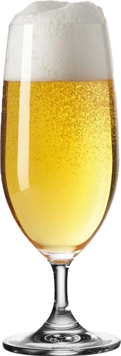 Leonardo Bierglazen Set 360ml - 6 Stuks