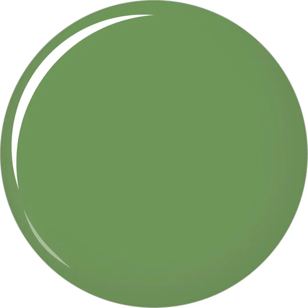 Collistar Gloss Nail Lacquer 533 Sports Green - 6ml