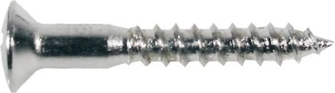 Boston WS-04-C Ovale Schroeven 3,5x25mm