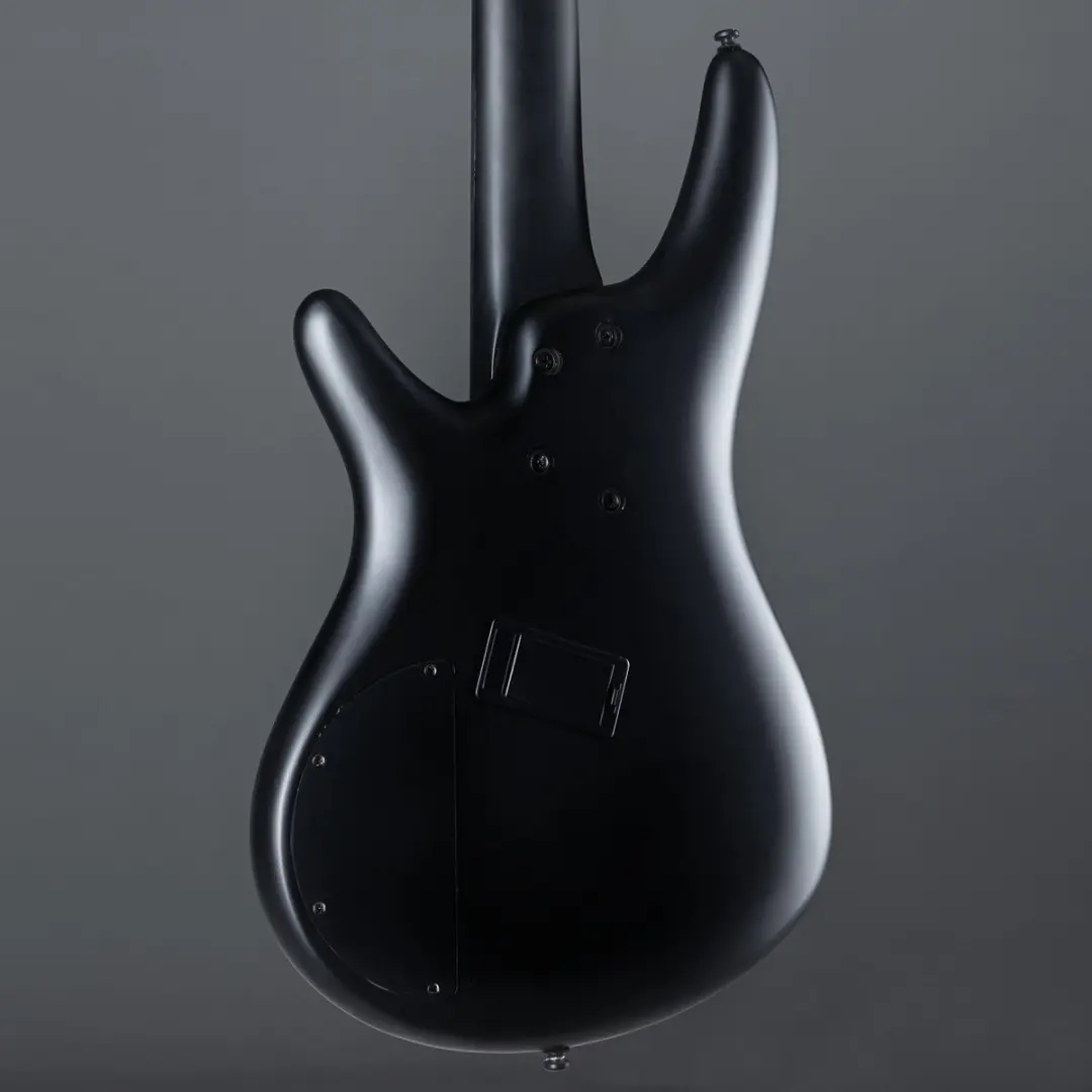 Ibanez Iron Label SRMS625EX Black Flat - 5-snarige basgitaar