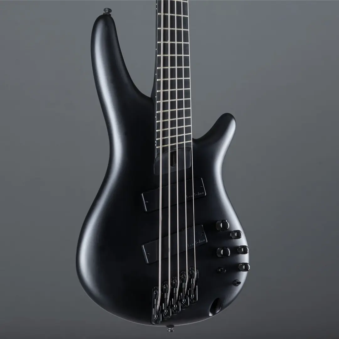 Ibanez Iron Label SRMS625EX Black Flat - 5-snarige basgitaar