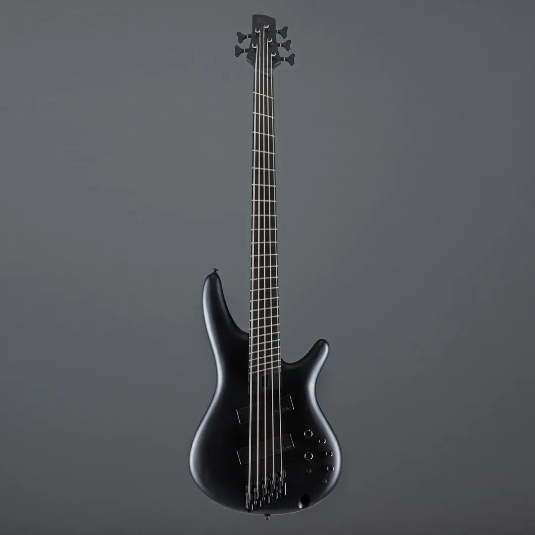 Ibanez Iron Label SRMS625EX Black Flat - 5-snarige basgitaar