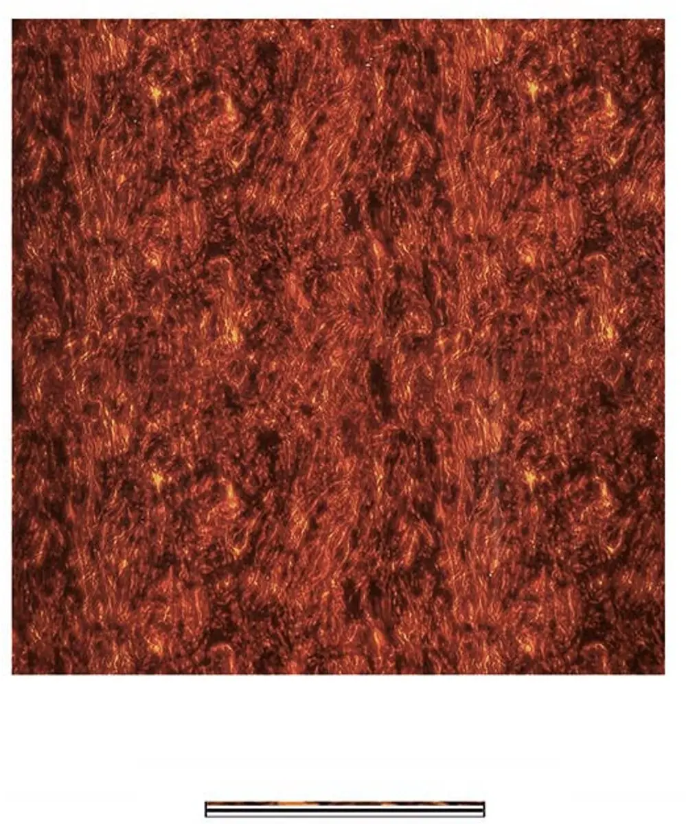 Boston PG-433-T Pickguard