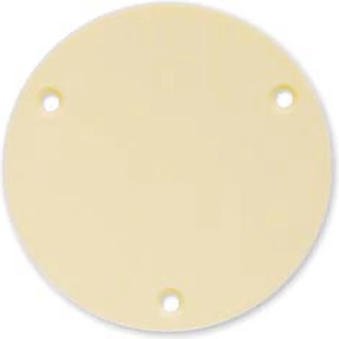 Boston P-101-IV Backplate