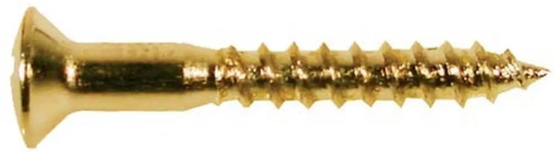 Boston WS-14-G Ovale Schroeven 2,4x16mm