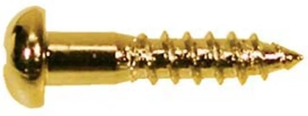 Boston WS-02-G Luxe Dome Hoofd Schroeven 2,1x10mm
