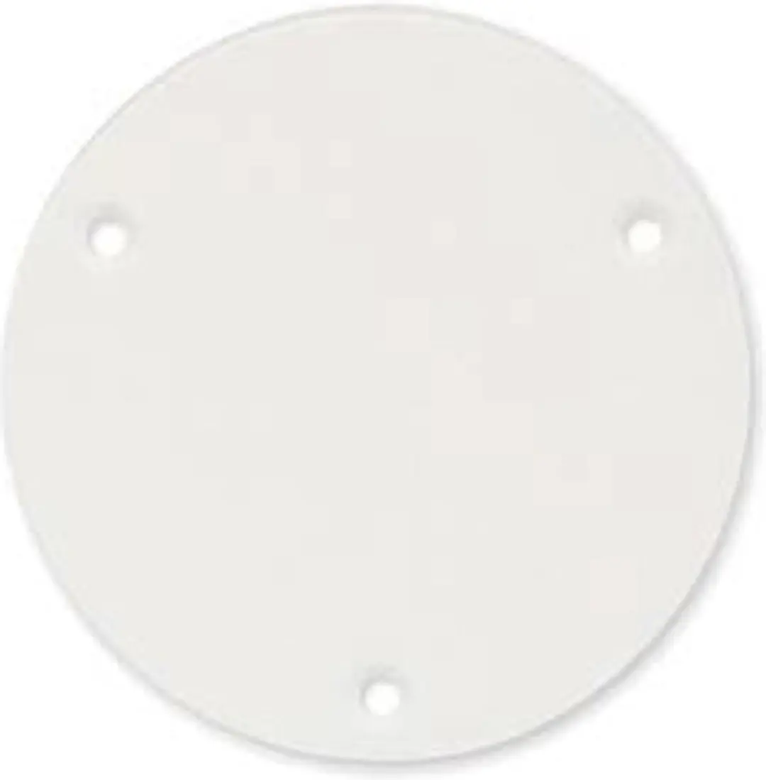 Boston P-101-W Backplate