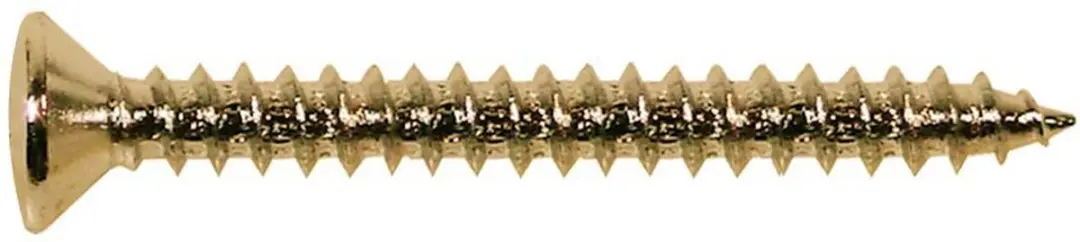 Boston TS-04-G Gouden Tapschroeven 4,5x45mm