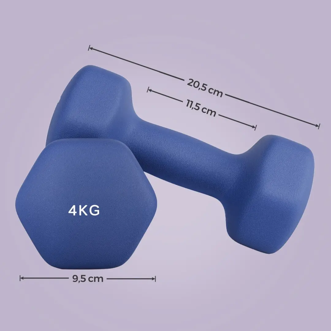 Songmics Halters Set 2x 4 kg - Blauw
