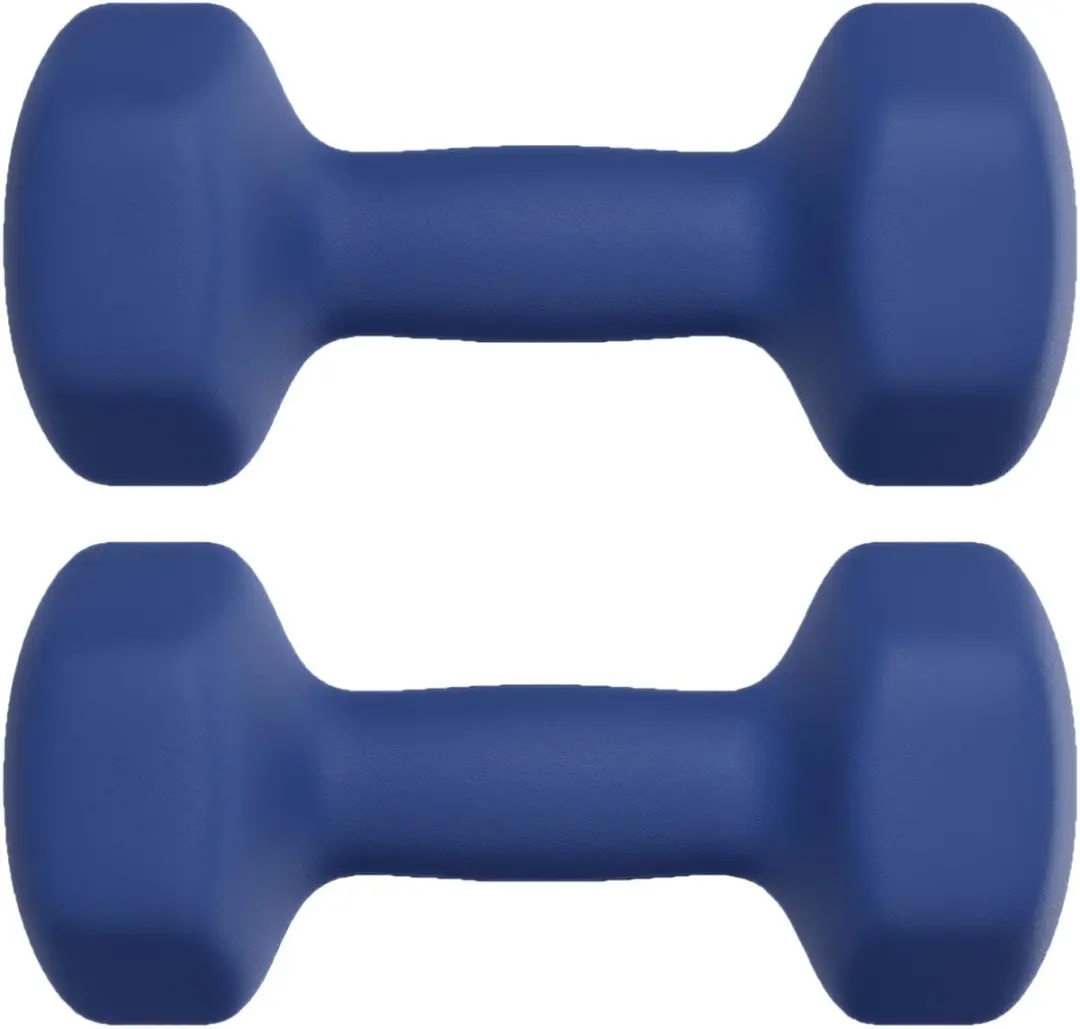 Songmics Halters Set 2x 4 kg - Blauw