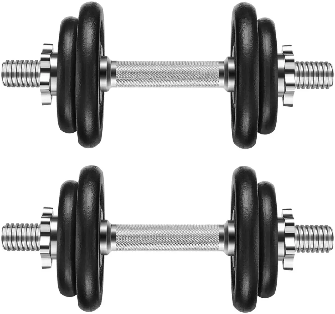 Songmics Halters 2x10kg Gietijzer