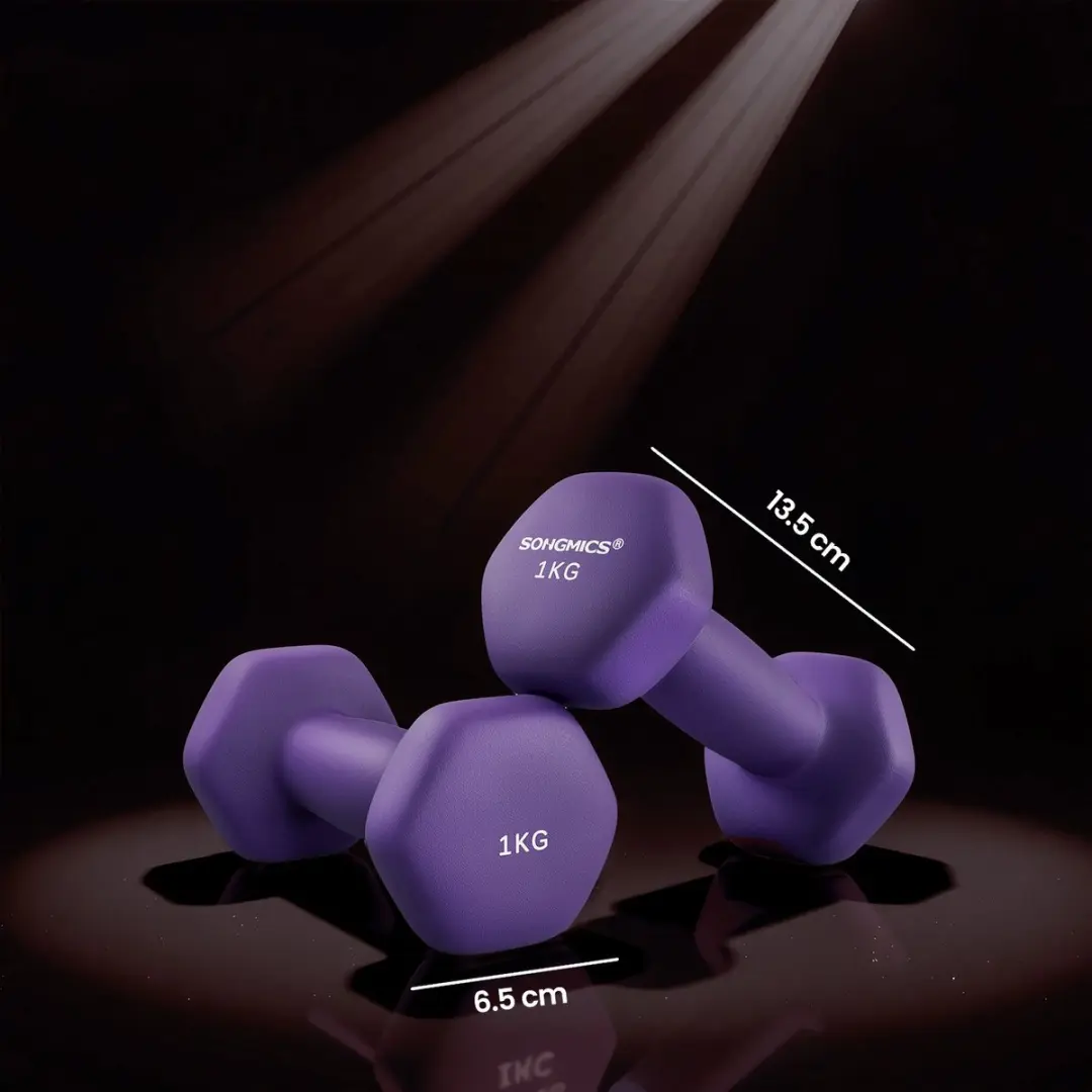 Songmics Zeshoekige Dumbbells 2 kg - Set van 2