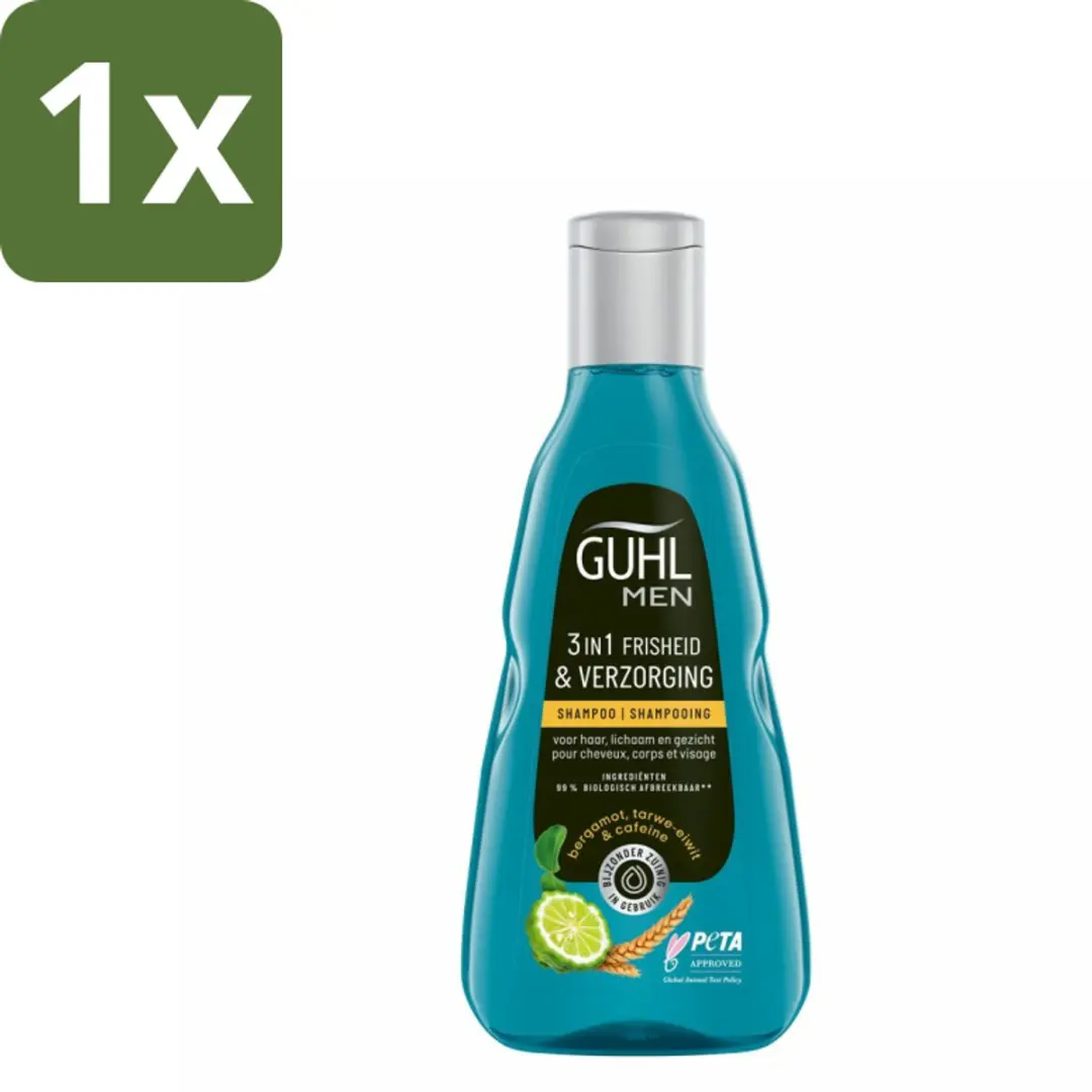 Guhl 3-in-1 Shampoo Freshness & Care Man 250ml