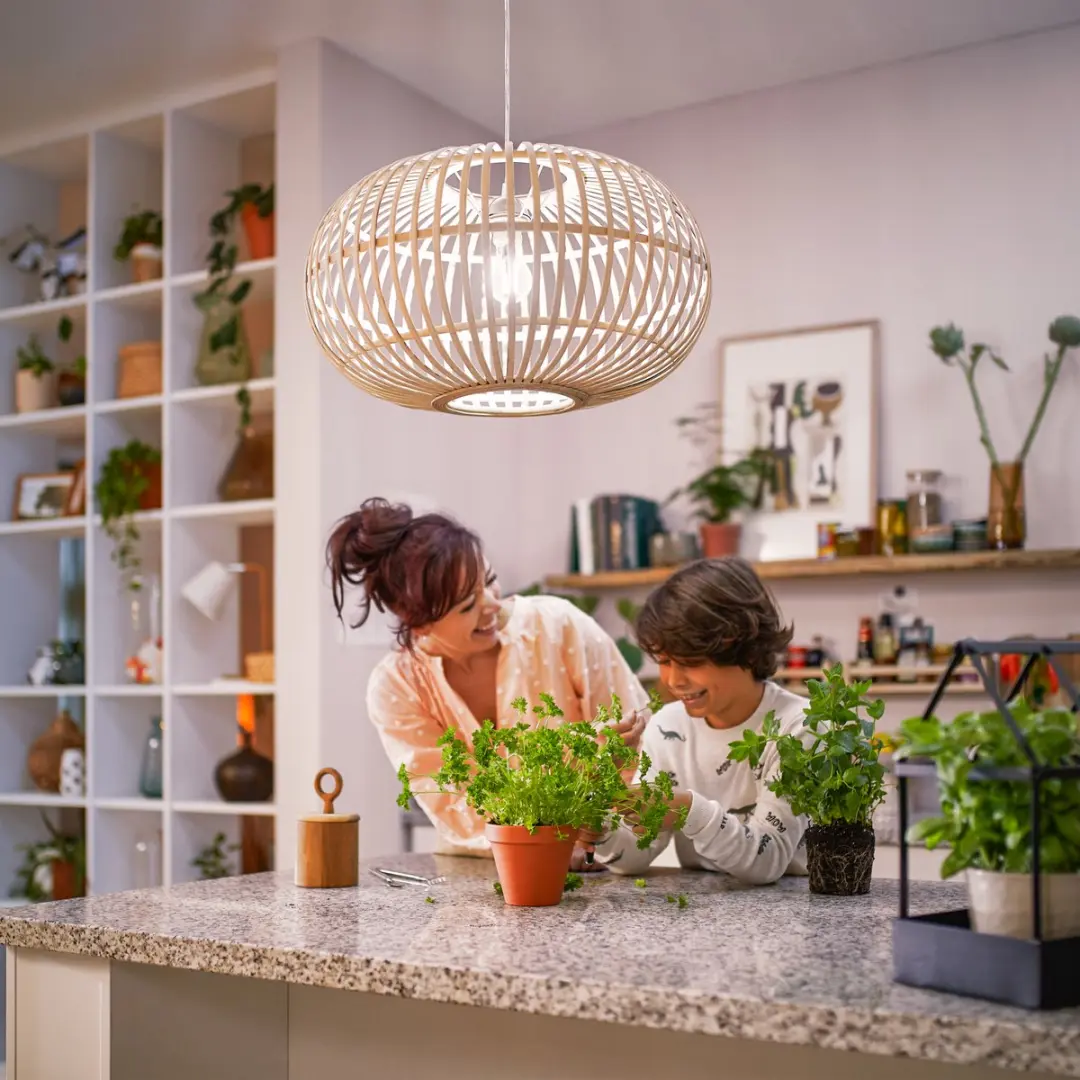 Philips Filamentlamp A60 E27 6W - Helder glas