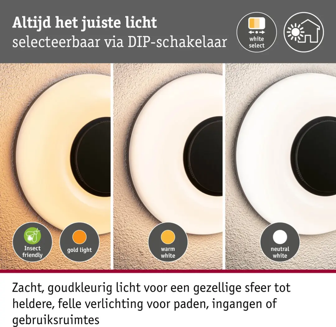 Paulmann Aureva LED Wandarmatuur Buiten IP65 20,5W - Antraciet/Wit