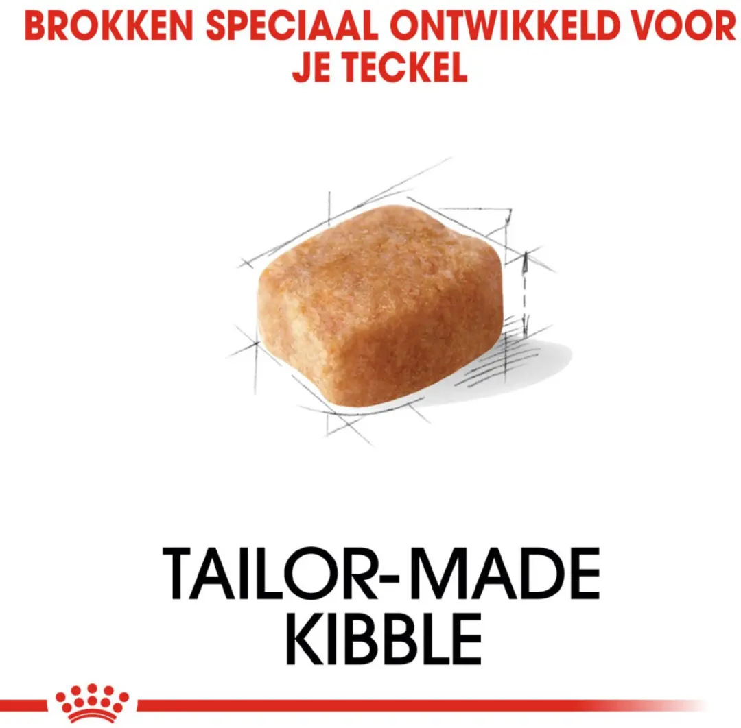 Royal Canin Hondenvoer Droog Dachshund Adult 500g