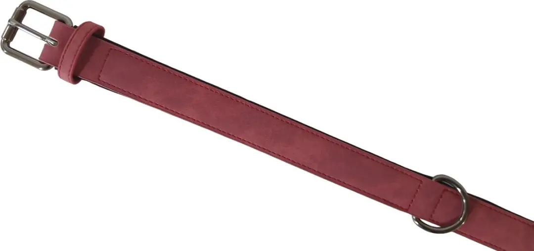 Flamingo Delu Halsband Honden XXL 52-62cm - Rood