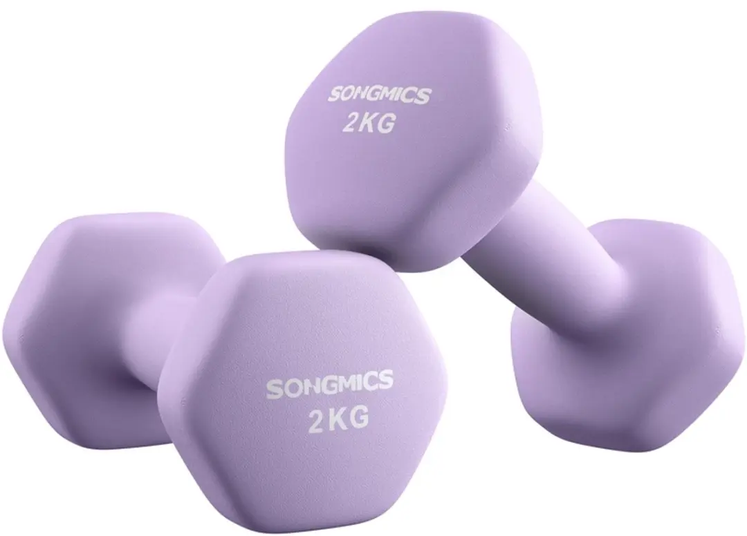 Songmics Halters 2x2kg