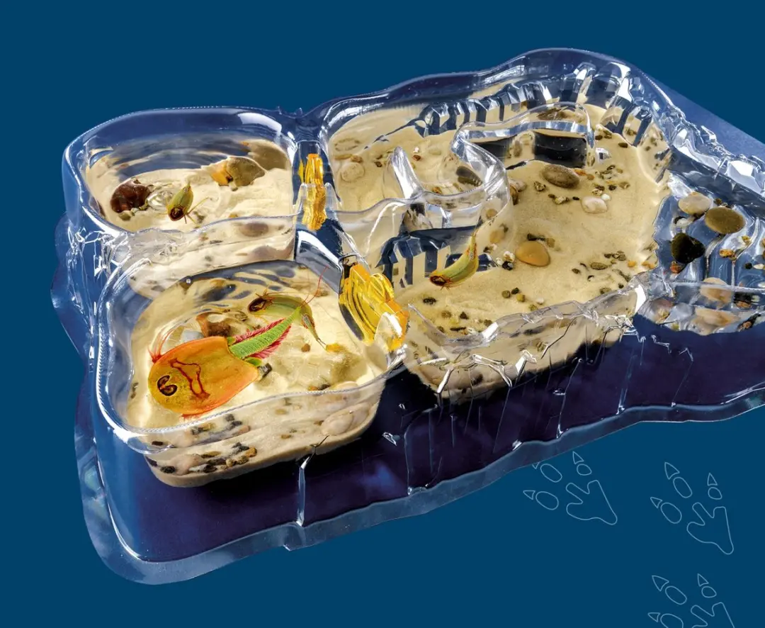 Kosmos Triops World Experimenteerset 617547 - STEM Speelgoed