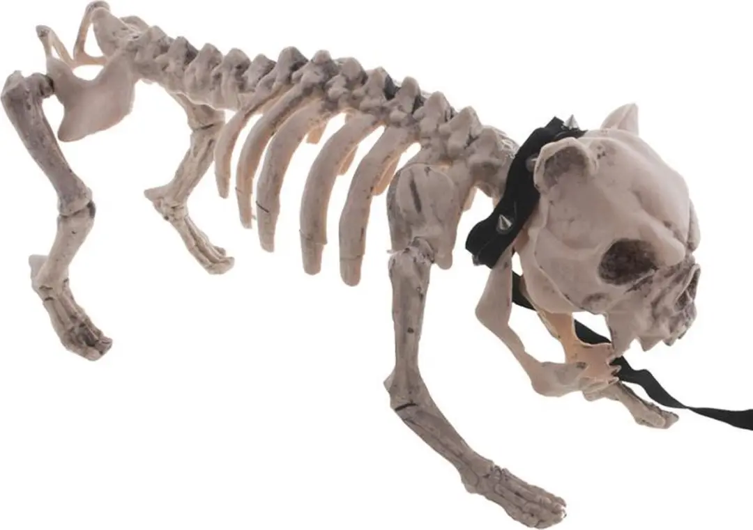 Espa Honden Skelet Verkleedaccessoire 40cm