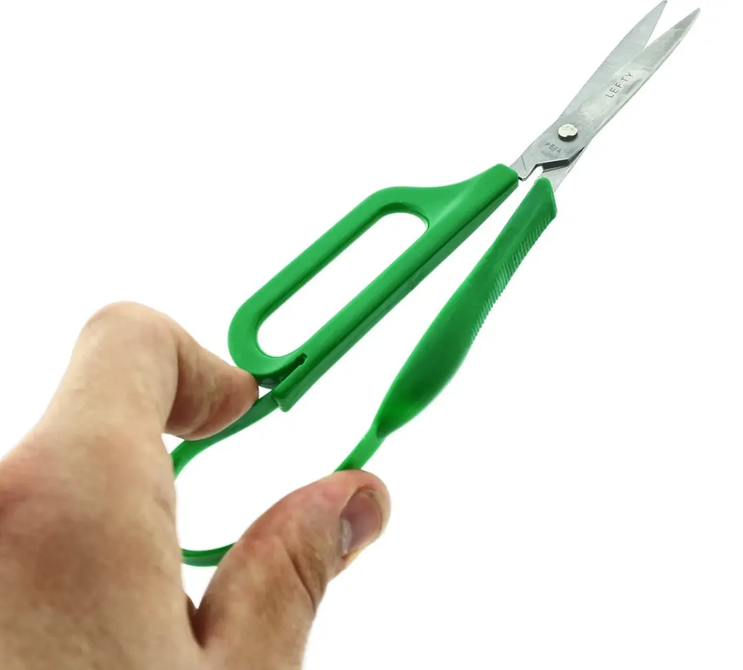 Vitility Elmer Spitschaar Groen - Links
