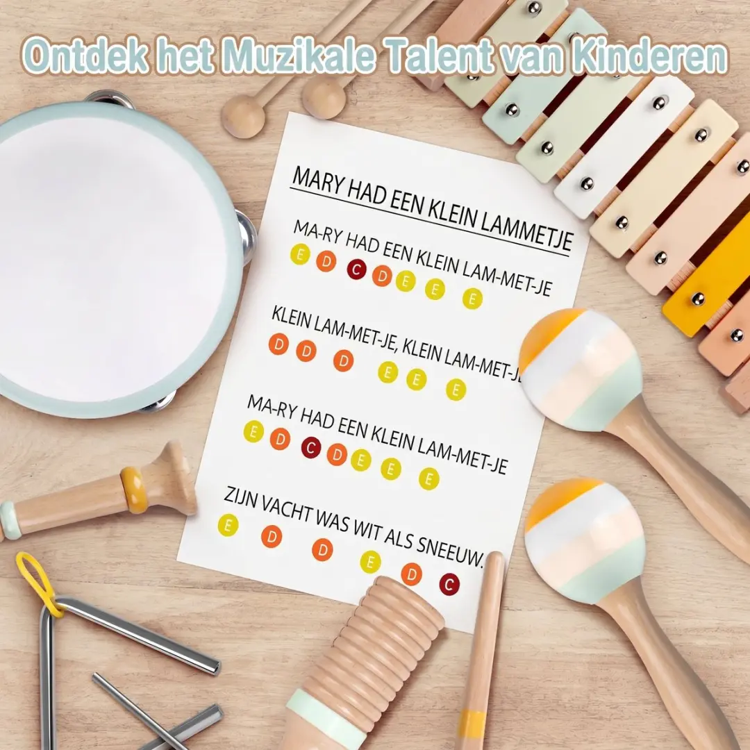 ECTEATOY Montessori Muziekinstrumenten Set 6-delig - Multicolor