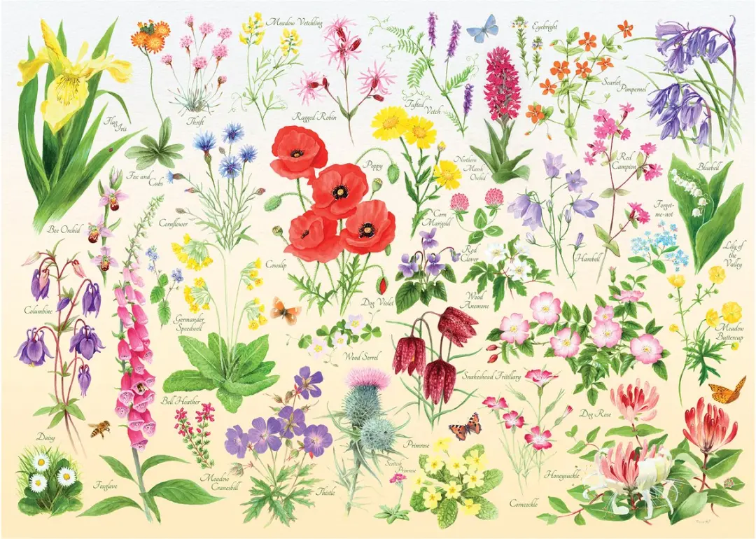 House Of Puzzles Wildflowers Legpuzzel 1000 Stuks