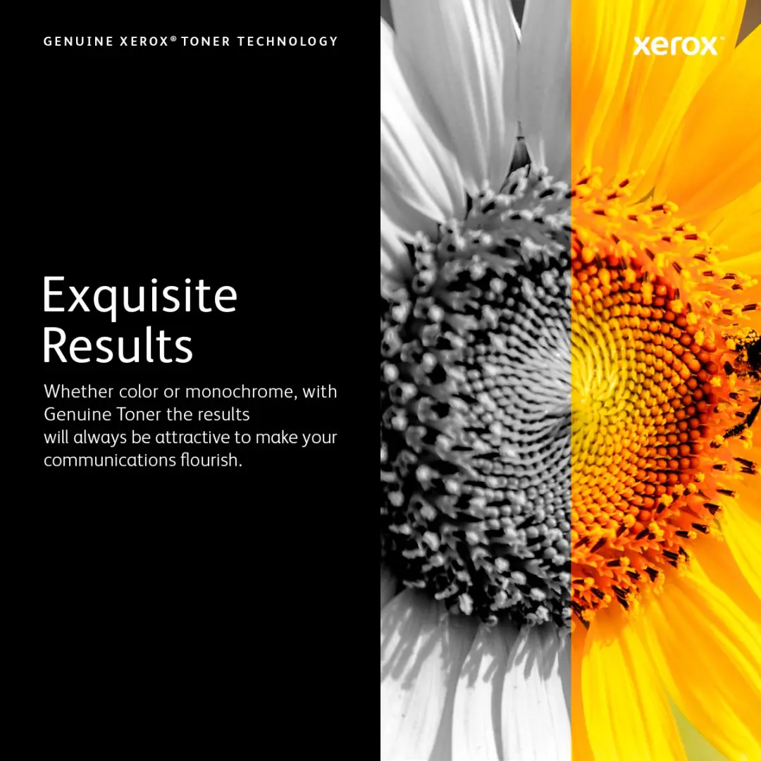 Xerox 006R04381 Tonercartridge - Zwart