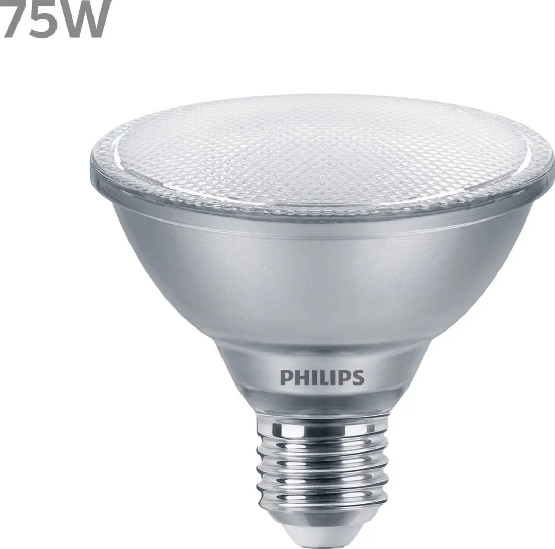 Philips Master Waarde PAR30S LED Spot 9.5W 2700K - Zilver