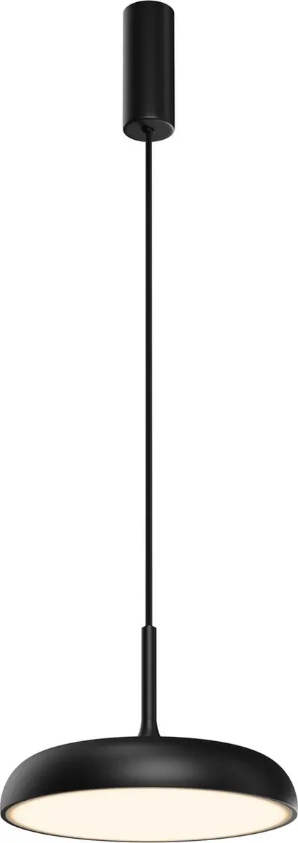 Maytoni Gerhard Hanglamp