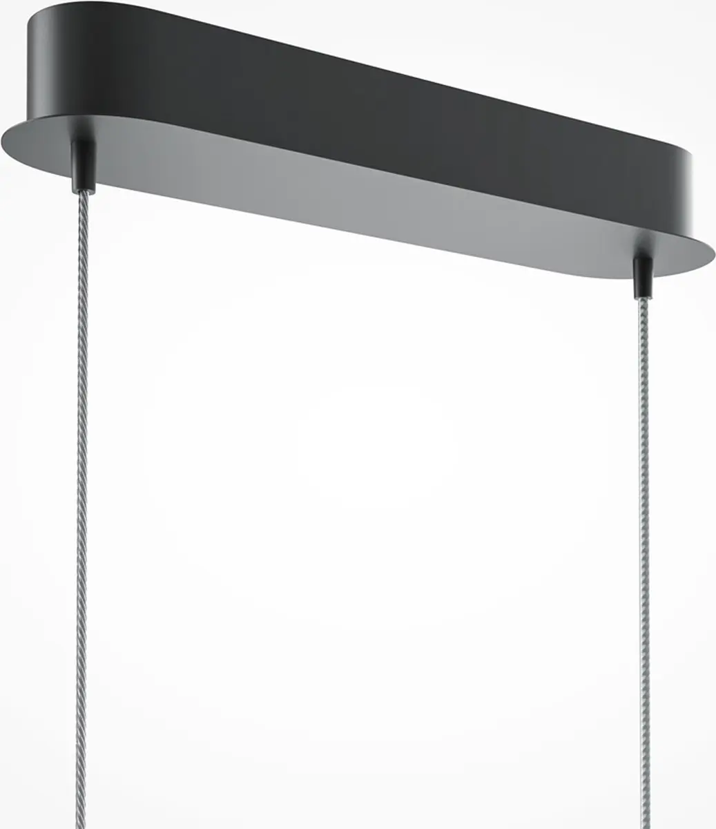 Maytoni Hanglamp Light Reflection - 15W - Zwart