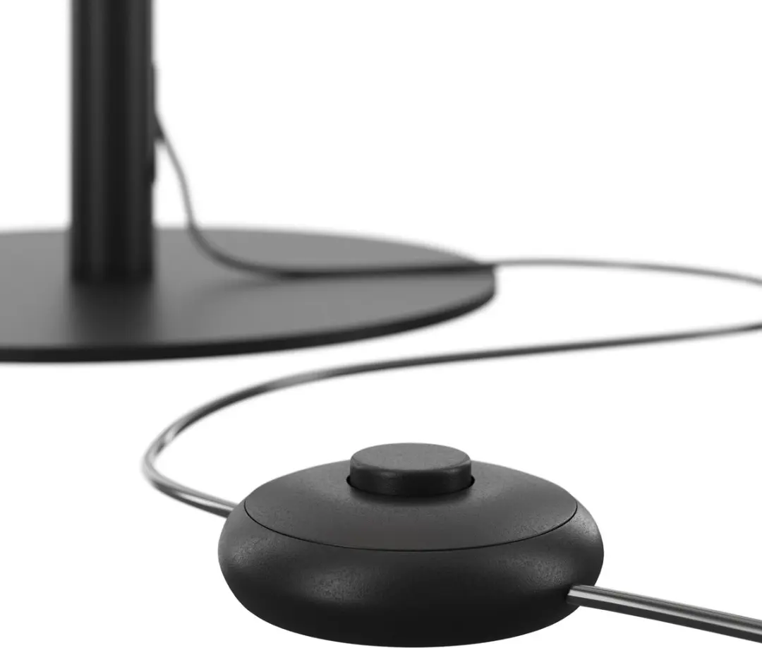 Maytoni Vloerlamp Ray - Ø3cm - Zwart