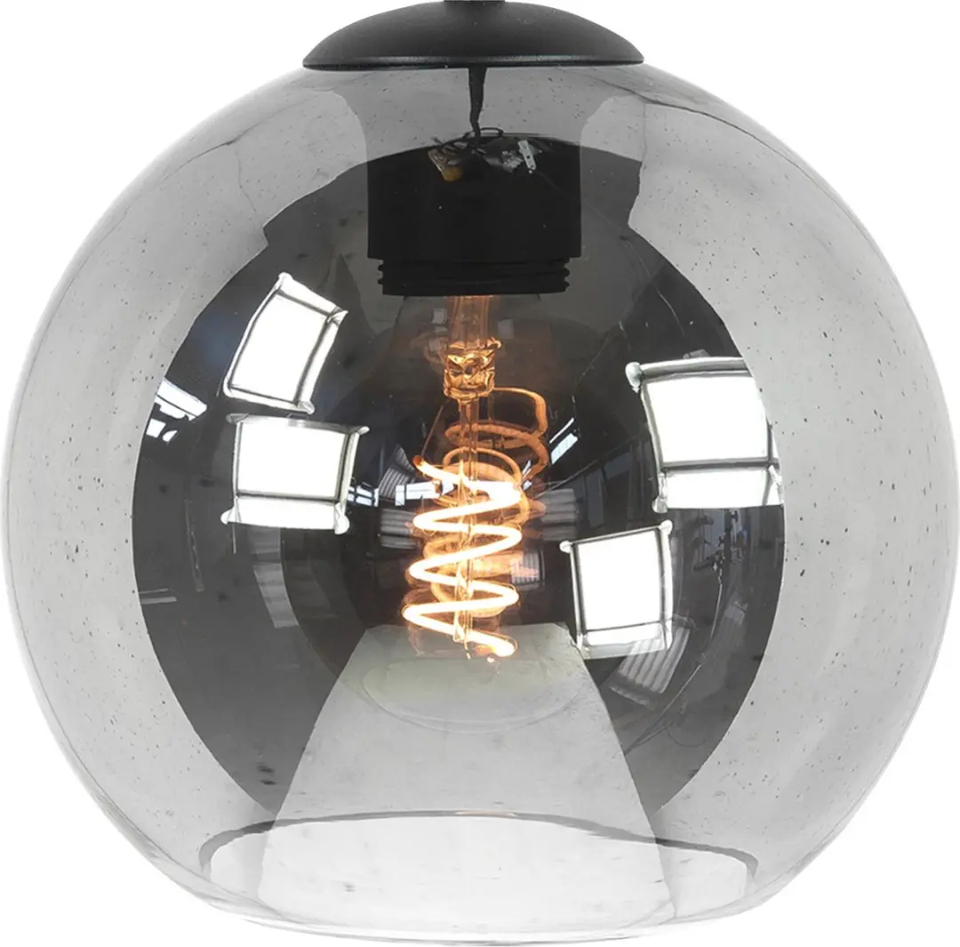 Highlight Fantasy Globe Plafondlamp Ø20cm - Zwart