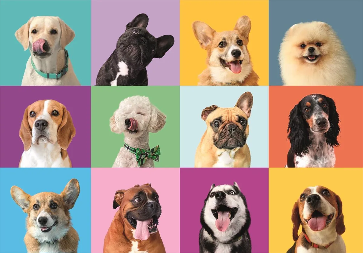 Clementoni Funny Faces Puzzel 300 Stukjes - Multicolor