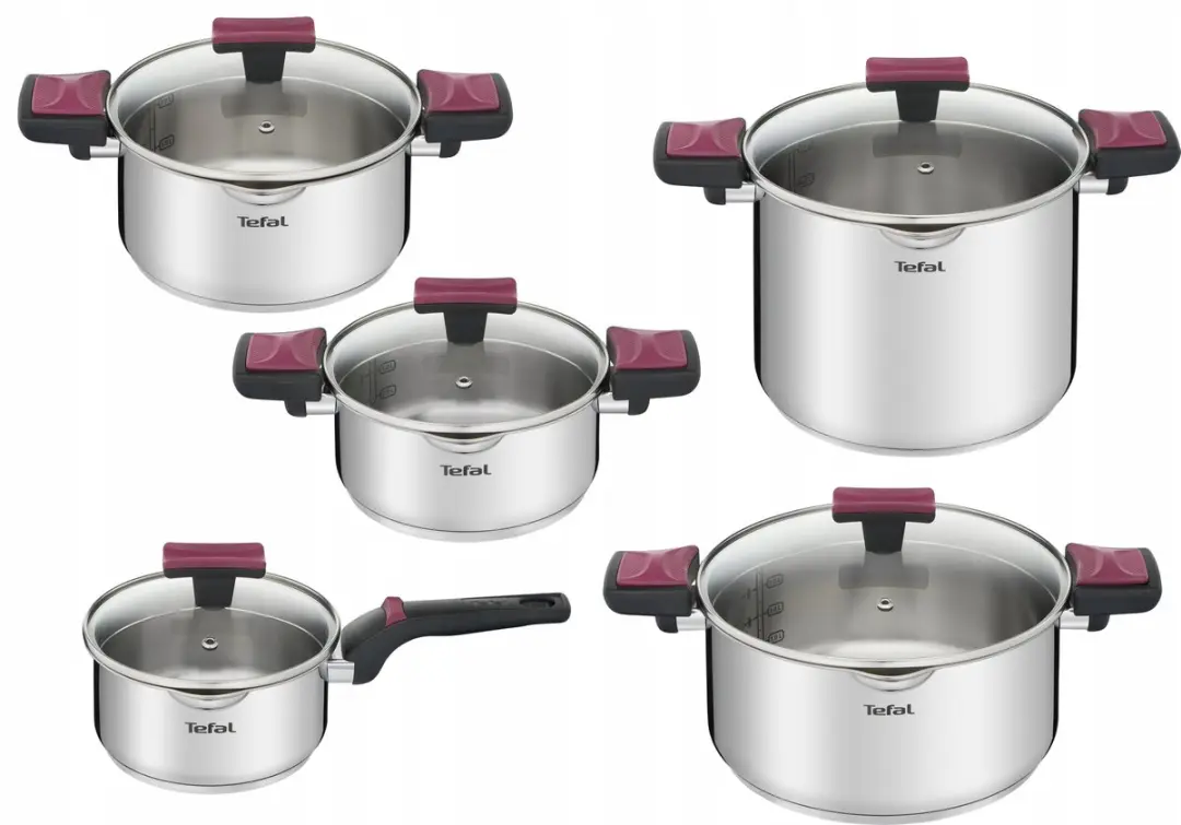 Tefal Cook&Clip Pannenset RVS