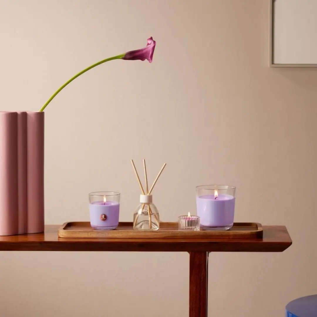 Bolsius True Scents Geurtheelicht Lavender - 18 Stuks