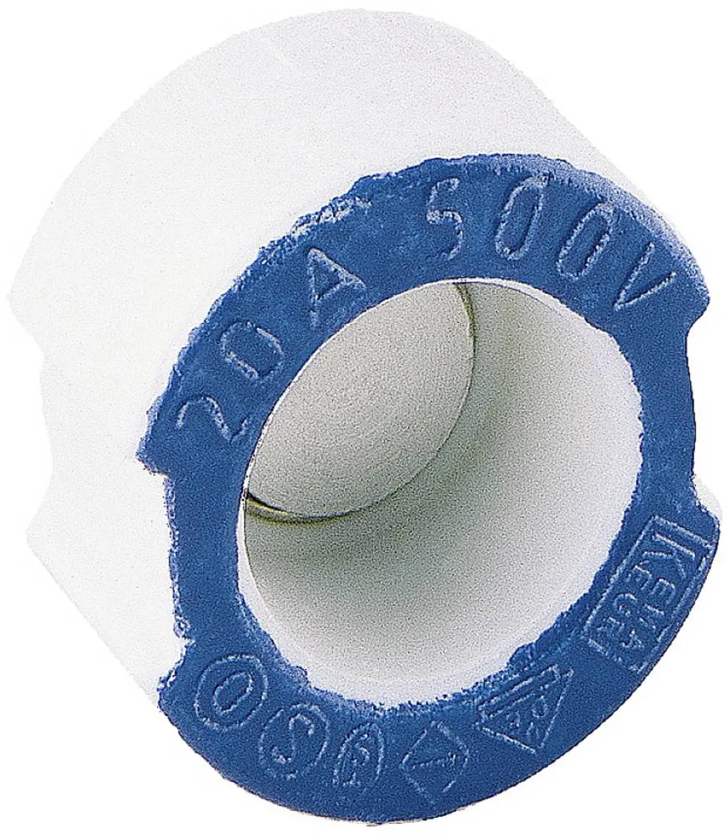 Siemens 5SH315 Passchroef DII 20A - 25 Stuks - Blauw